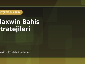 Maxwin Bahis Stratejileri kapak görseli